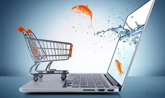 紫鸟浏览器及其功能介绍 – 2026/03/18