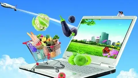 紫鸟浏览器：2026/03/18的全新体验与功能