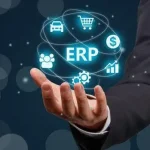 紫鸟浏览器及其相关功能分析（2026/03/18）